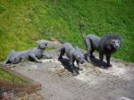 Kendra Haste's Lions And Leopards At The Tower Of London Stock Photo