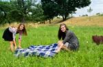 Two Girls  Spreading A Blanket For Picnic Stock Photo