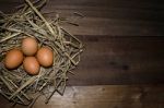 Chicken Eggs Stock Photo