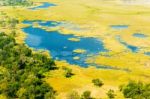 Okavango Delta Aerial View Stock Photo