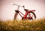 Classic Bicycle Stock Photo