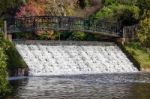 Sheffield Park, Sussex/uk - November 3 : Bridge And Weir At Shef Stock Photo