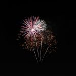 Group Firework Multiple Color Explode On Night Sky Stock Photo