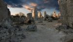 The Stone Forest Stock Photo