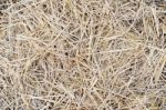 Straw Background Stock Photo