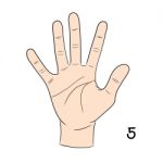 Sign Language,number 5 Stock Photo