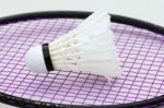 Badminton Stock Photo