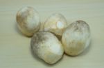 Straw Mushrooms Stock Photo