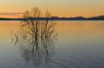 Lake Wivenhoe In Queensland During The Day Stock Photo