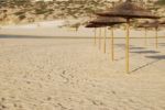 Beach Scene With Coconuts Area Stock Photo