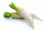 Daikon Radishes Isolated On White Background Stock Photo