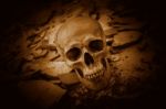 Human Skull On Ruins Place Stock Photo