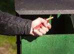 Man's Hand Breaks A Pack Of Cigarettes Stock Photo