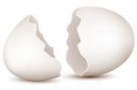 Broken Egg Stock Photo