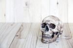 Human Skull On Wood Background Stock Photo