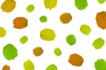 Background By Green Leaves, Orange Leaves And Yellow Leaves On White Background For Isolated Stock Photo