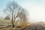 First Autumn Snow On Mountain Misty Road Stock Photo