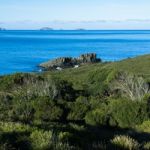 View Of Bruny Island Beach In The Late Afternoon Stock Photo