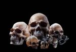 Skull On A Black Background Stock Photo