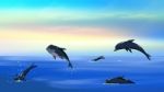 Dolphins In A Ocean Stock Photo