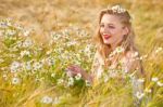 Blond Girl On The Camomile Field Stock Photo