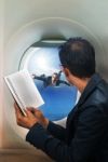 Business Man Reading Book In Passenger Plane Seat And Looking To Stock Photo