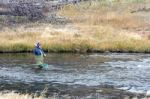 Fly Fishing In Fairy Creek Stock Photo