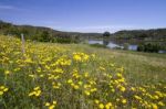 Rural Countryside Algarve View Stock Photo