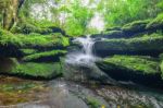 Landscape Of Waterfall In Deep Rain Forest Of Bolaven Plateau, C Stock Photo