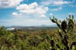 Famous Arboretum Lussich Botanical Park And The Solana Beach In Stock Photo