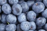 Blueberries Stock Photo