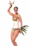 How Is My Carnival Costume ? Stock Photo