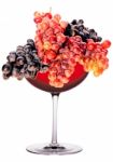 Wine Glass Stock Photo