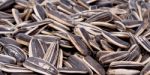 Sunflower Seeds Stock Photo