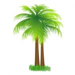 Coconut Tree Stock Photo