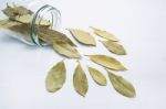 Dried Bay Leaves In Glass Jar On White Wooden Background Stock Photo