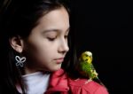 Girl With Budgie Stock Photo