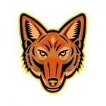 Jackal Head Front Mascot Stock Photo