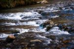 Rapids Along The Virgin River Stock Photo