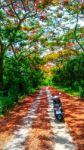 Motorcycle In Forest Stock Photo