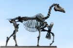 Hans Haacke Statue Gift Horse In Trafalgar Square Stock Photo