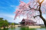 Cherry Blossom With Soft Focus, Sakura Season In Spring Stock Photo