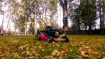 Fall Leaves And Yard Work Stock Photo