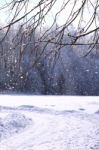 Winter Time In Countryside, Snowing, Road And Forest Background Stock Photo