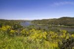 Rural Countryside Algarve View Stock Photo