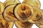 Wood Slices Stock Photo