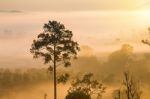 Misty Clouds Beautiful Foggy Forest During Sunrise Mountains Stock Photo