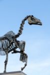 Hans Haacke Statue Gift Horse In Trafalgar Square Stock Photo