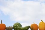 Pumpkins Stock Photo