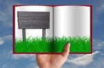 Green Grass In Book And Wooden Sign Stock Photo